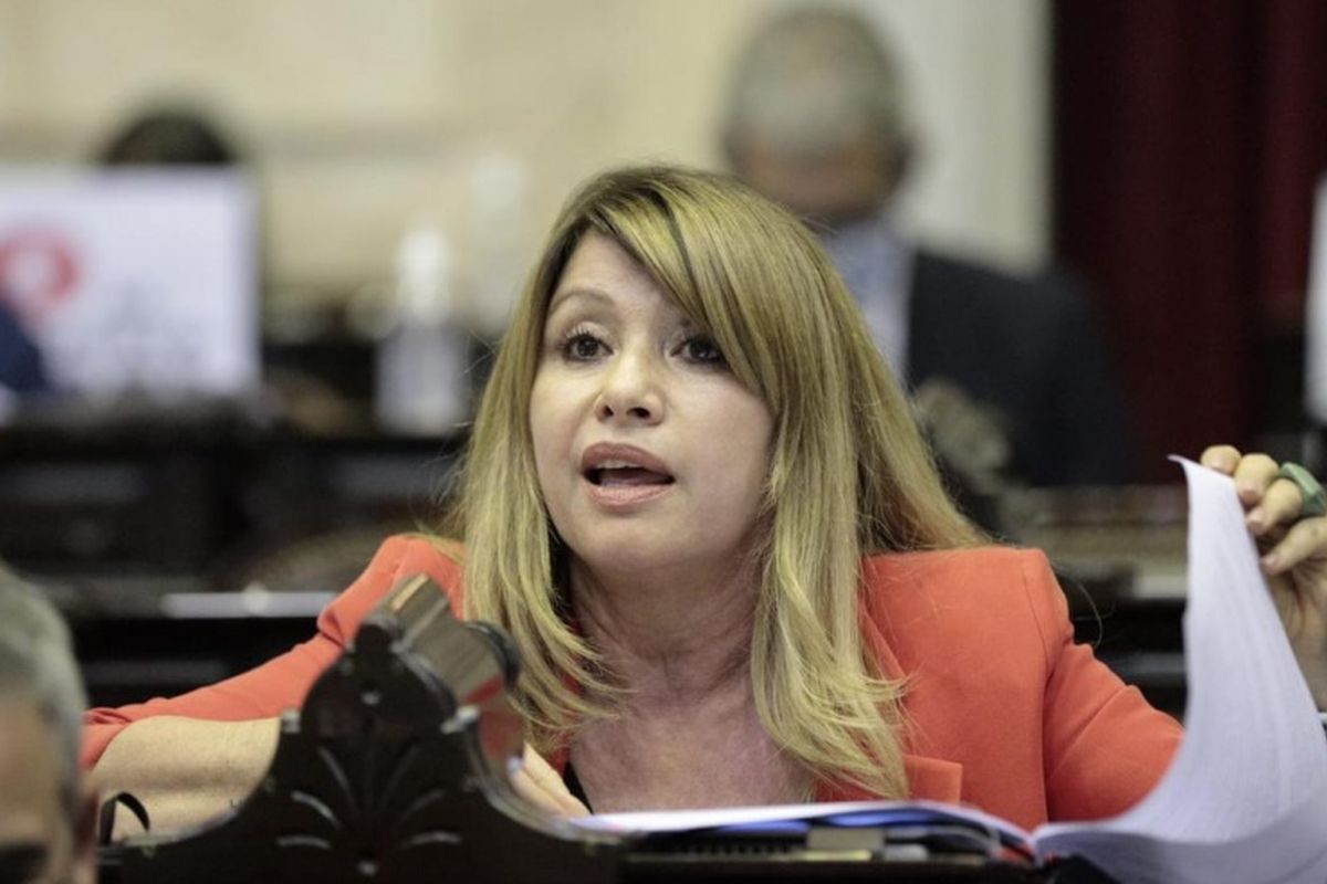 Mónica Litza: “Es importantísimo el llamamiento de Massa a un gobierno de unidad nacional”