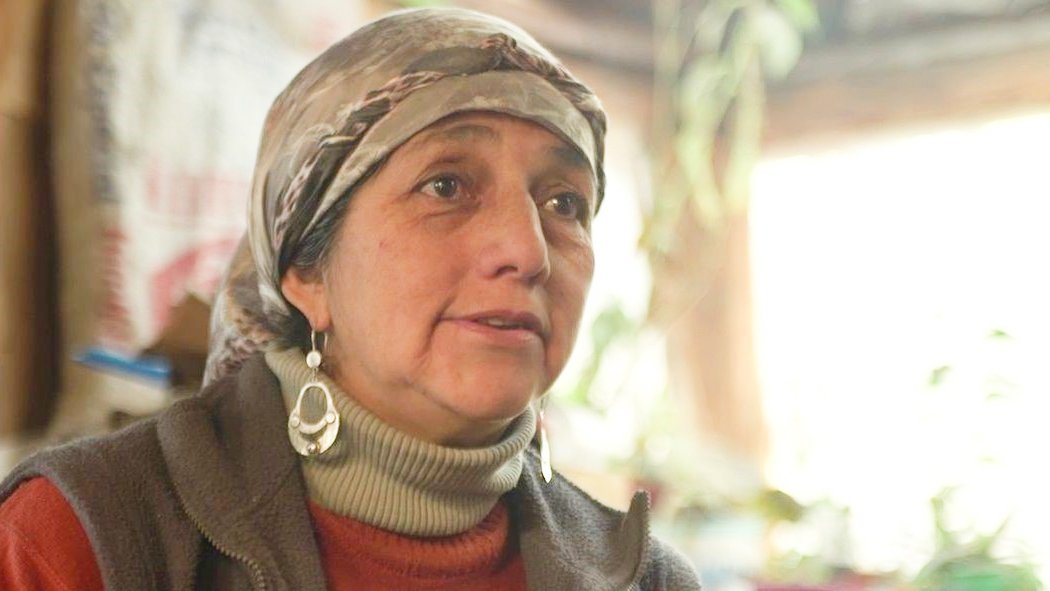 María Isabel Huala: “Venimos luchando y resistiendo en esta zona hace un poco más de 130 años”