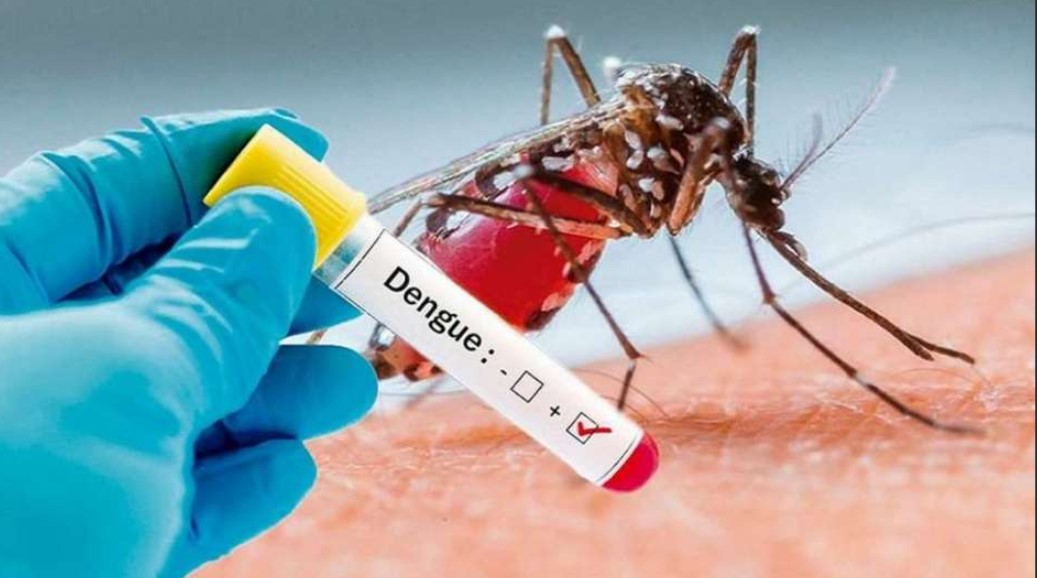 Navarro: “Estamos frente a una gran cantidad de casos de dengue, es muy alarmante”