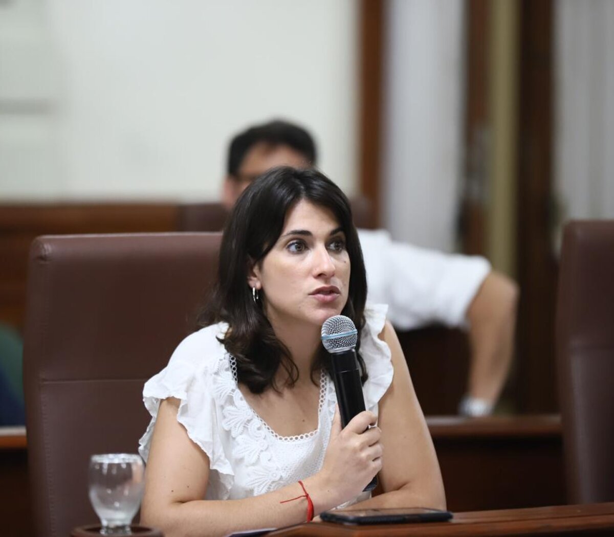 Constanza Alonso: “La mayoría de las personas que expusieron en el Congreso están en contra del DNU y la ley ómnibus”