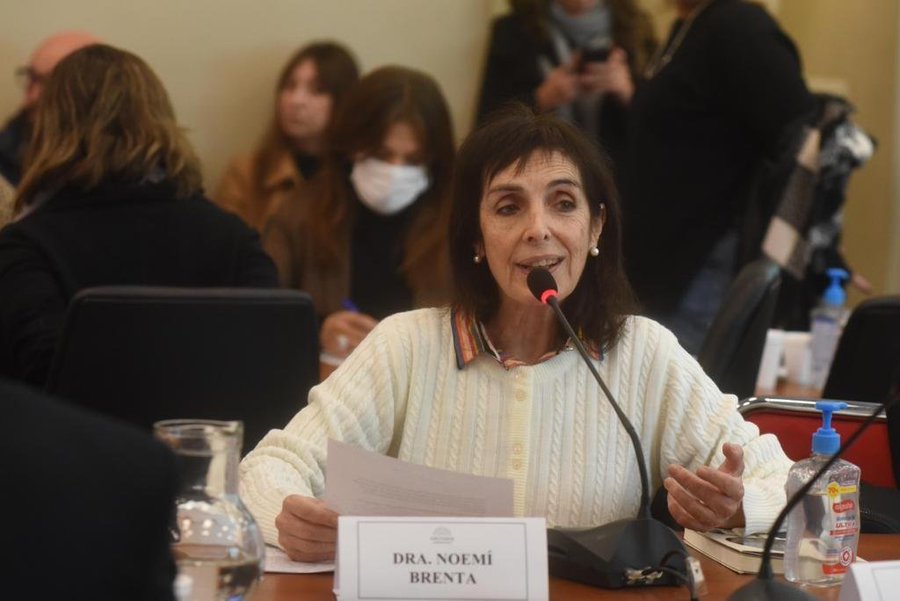 «Este último prestamo del FMI es desvergonzadamente político»