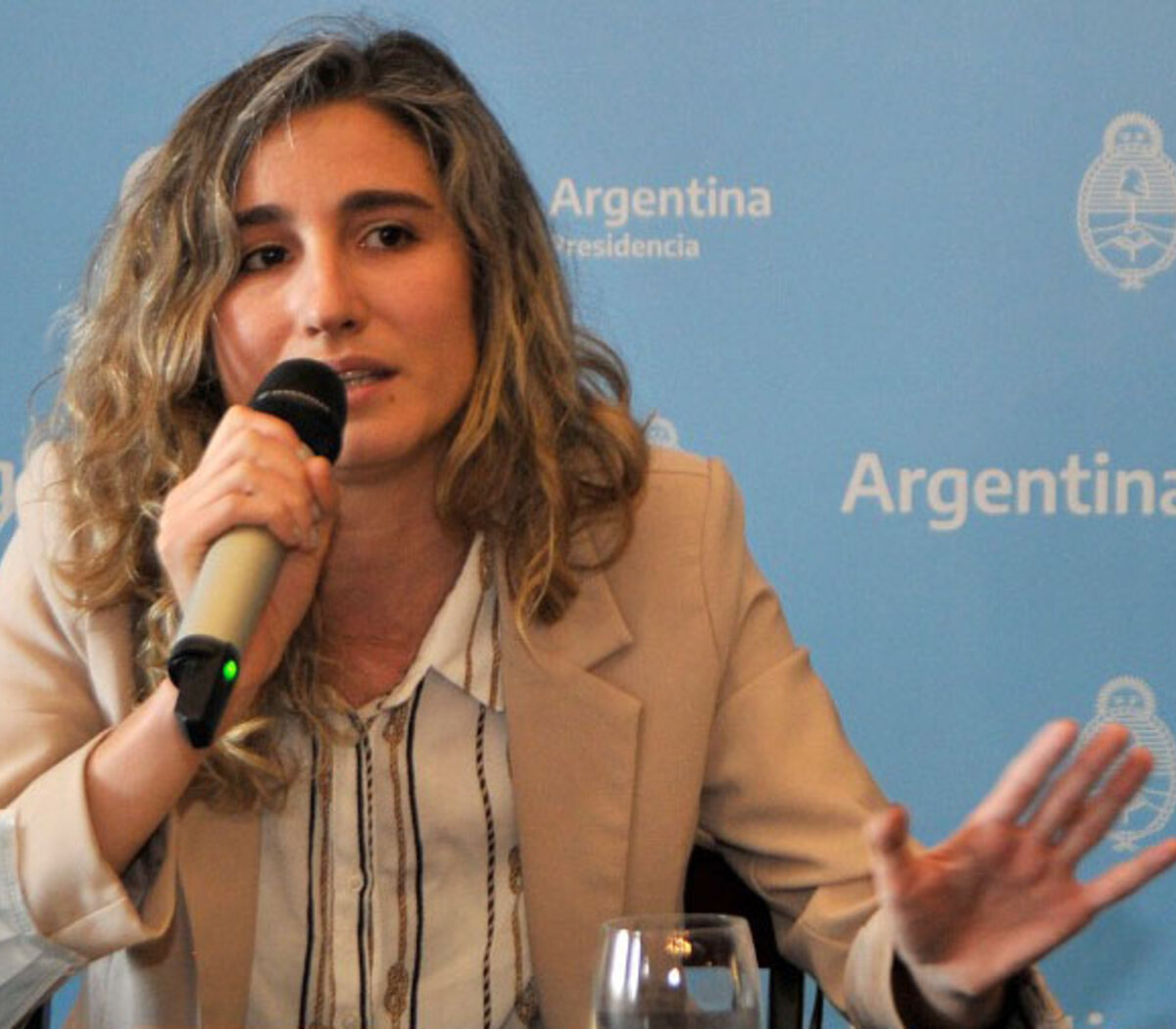 «Durante el 2024 hubo una política de ajuste dirigida a las mujeres»