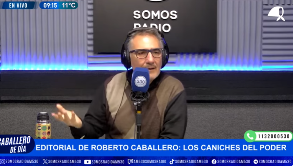 Los caniches del poder