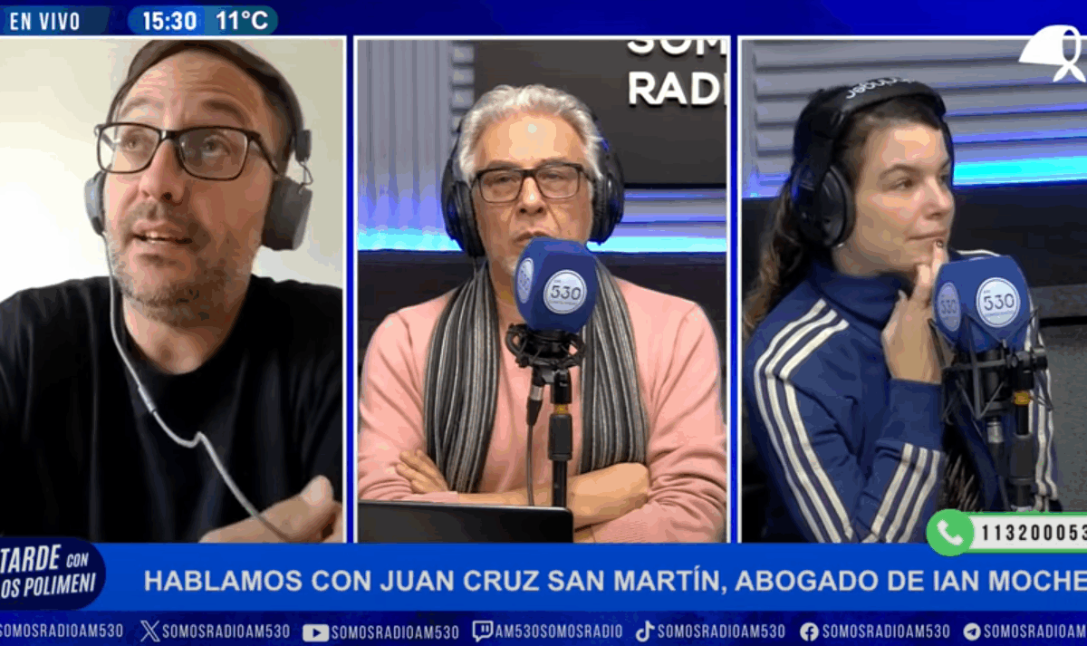 «Spagnuolo asumió en la Agencia Nacional de Discapacidad para destruirla»
