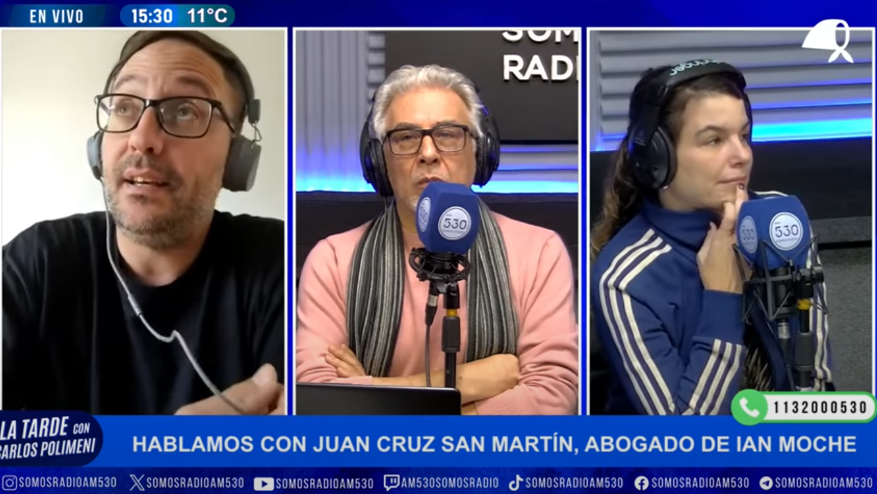«Spagnuolo asumió en la Agencia Nacional de Discapacidad para destruirla»