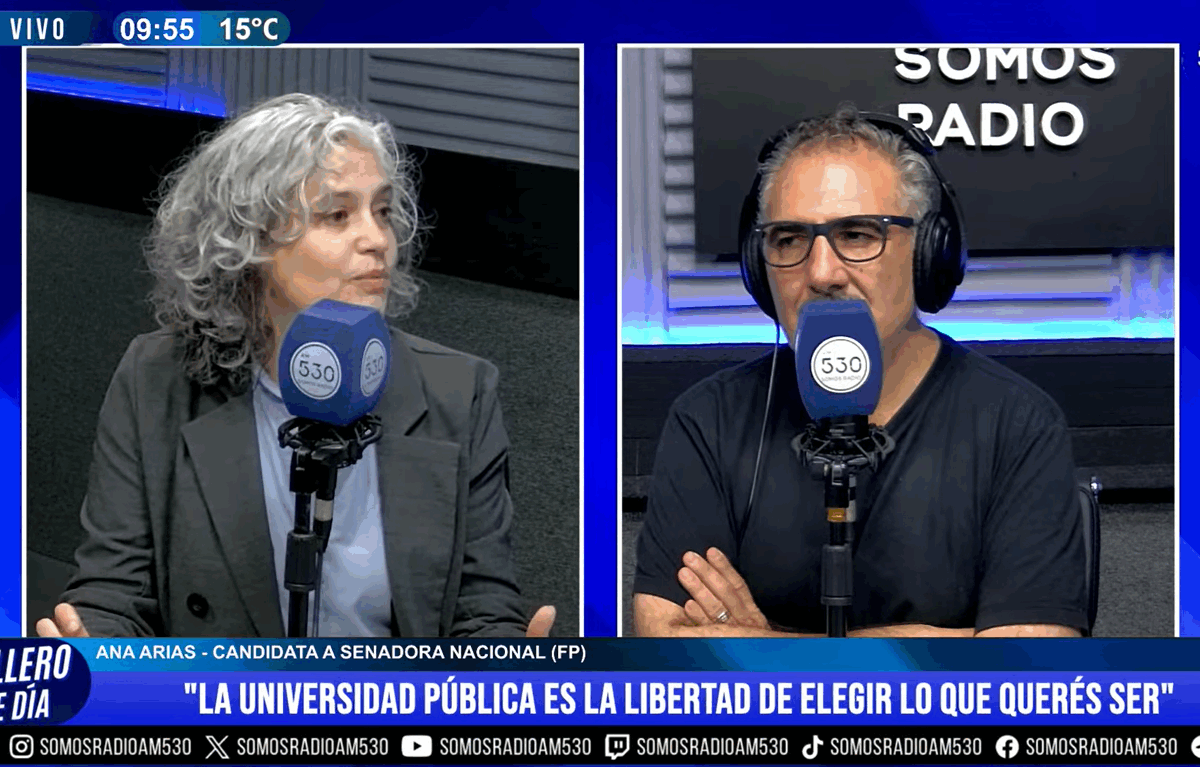 «Es muy importante ir a votar, pensemos que la Ley Bases pasó por un voto»
