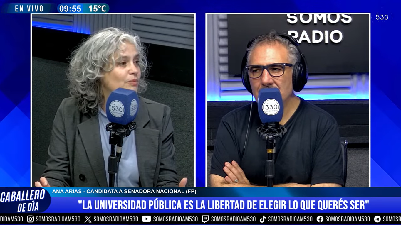 «Es muy importante ir a votar, pensemos que la Ley Bases pasó por un voto»