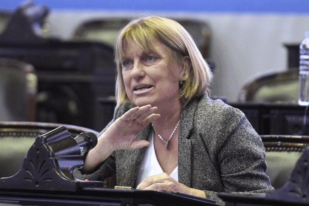 «La caída de la economía argentina viene de la mano del derrumbe del Estado»