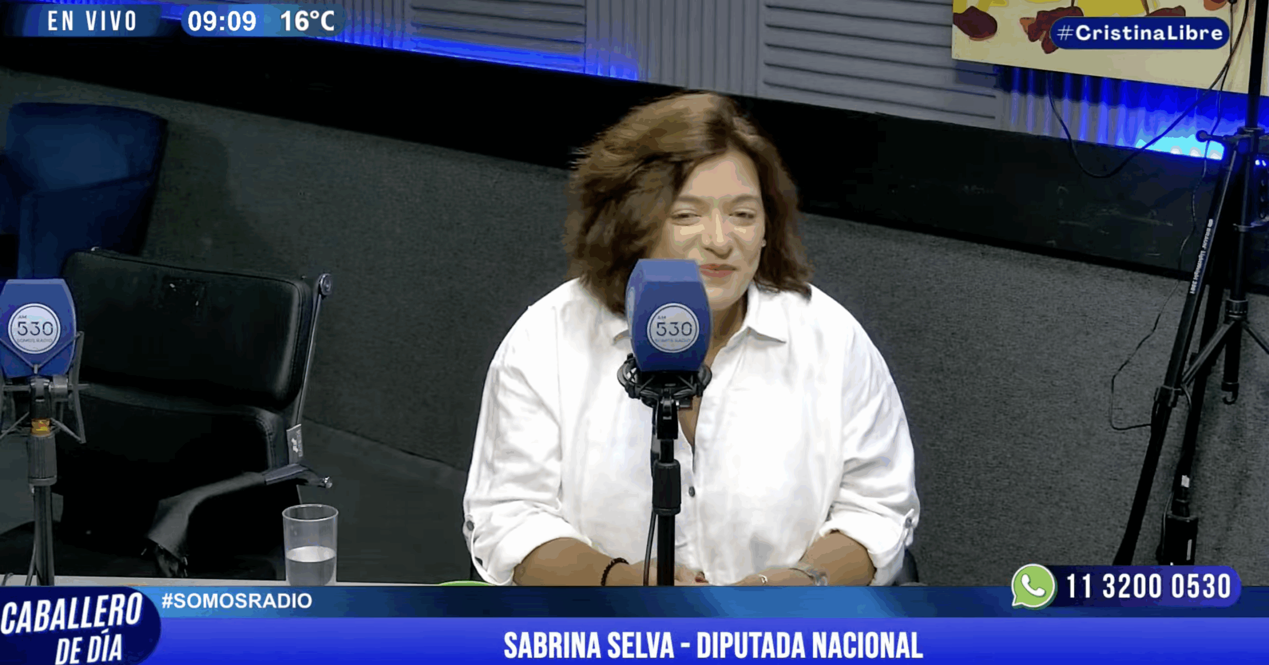 Sabrina Selva: «Milei no solo promocionó Libra sino que fue parte del entramado previo”