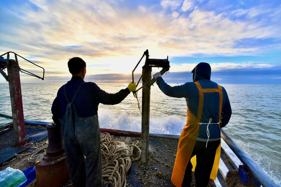 La pesca china y el otro juego del calamar