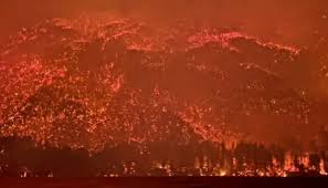 Incendios en la Patagonia