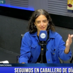 «La reforma de la Ley de Glaciares es el saqueo del agua en favor de las mineras»