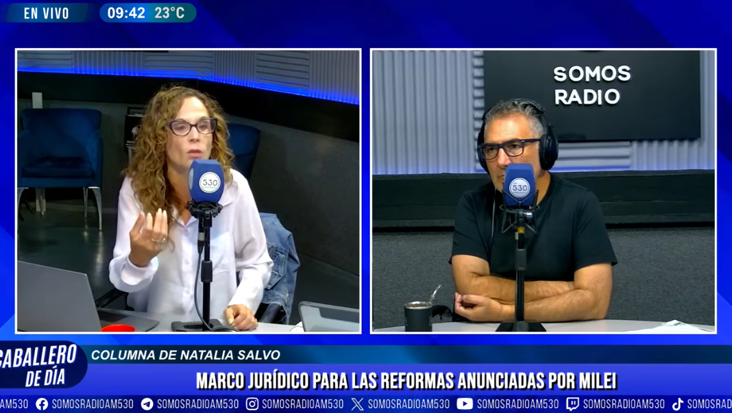 Marco jurídico para las reformas anunciadas por Milei