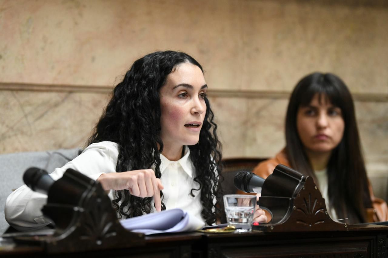 Súper RIGI consiguió media sanción