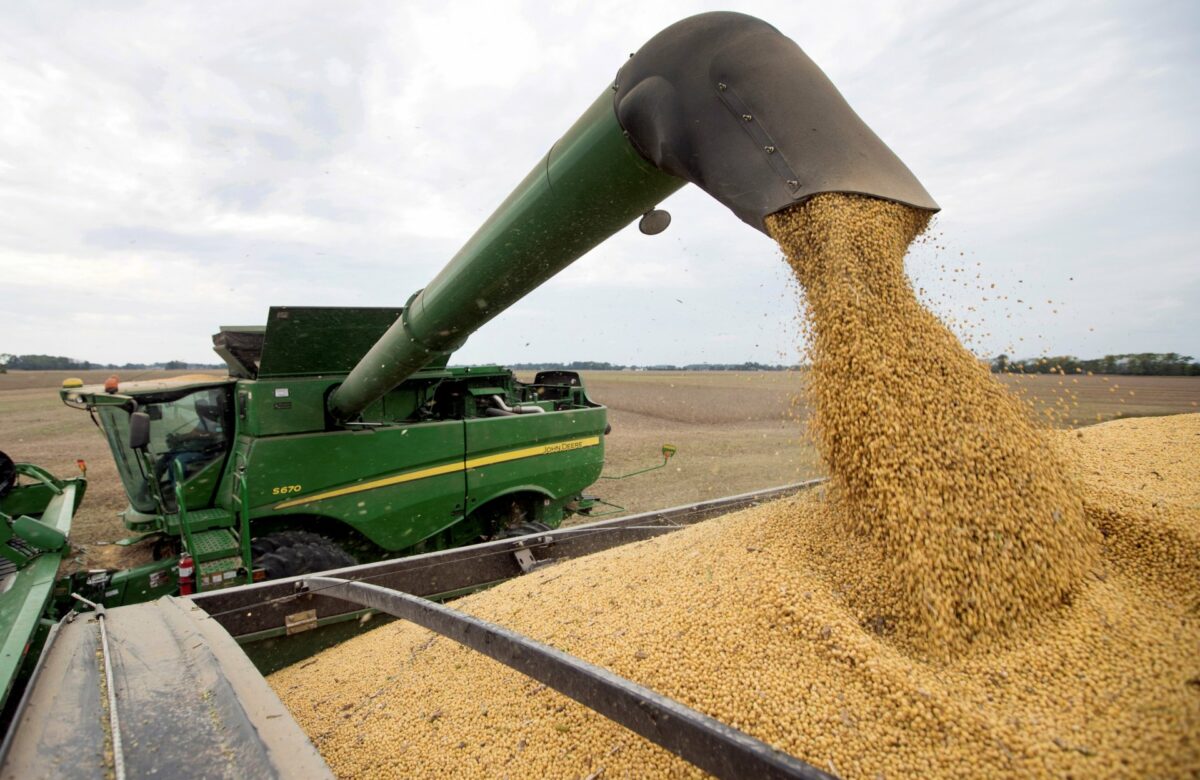 Agro: ¿Qué cantidad y calidad de puestos de trabajo genera?