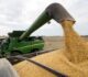 Agro: ¿Qué cantidad y calidad de puestos de trabajo genera?