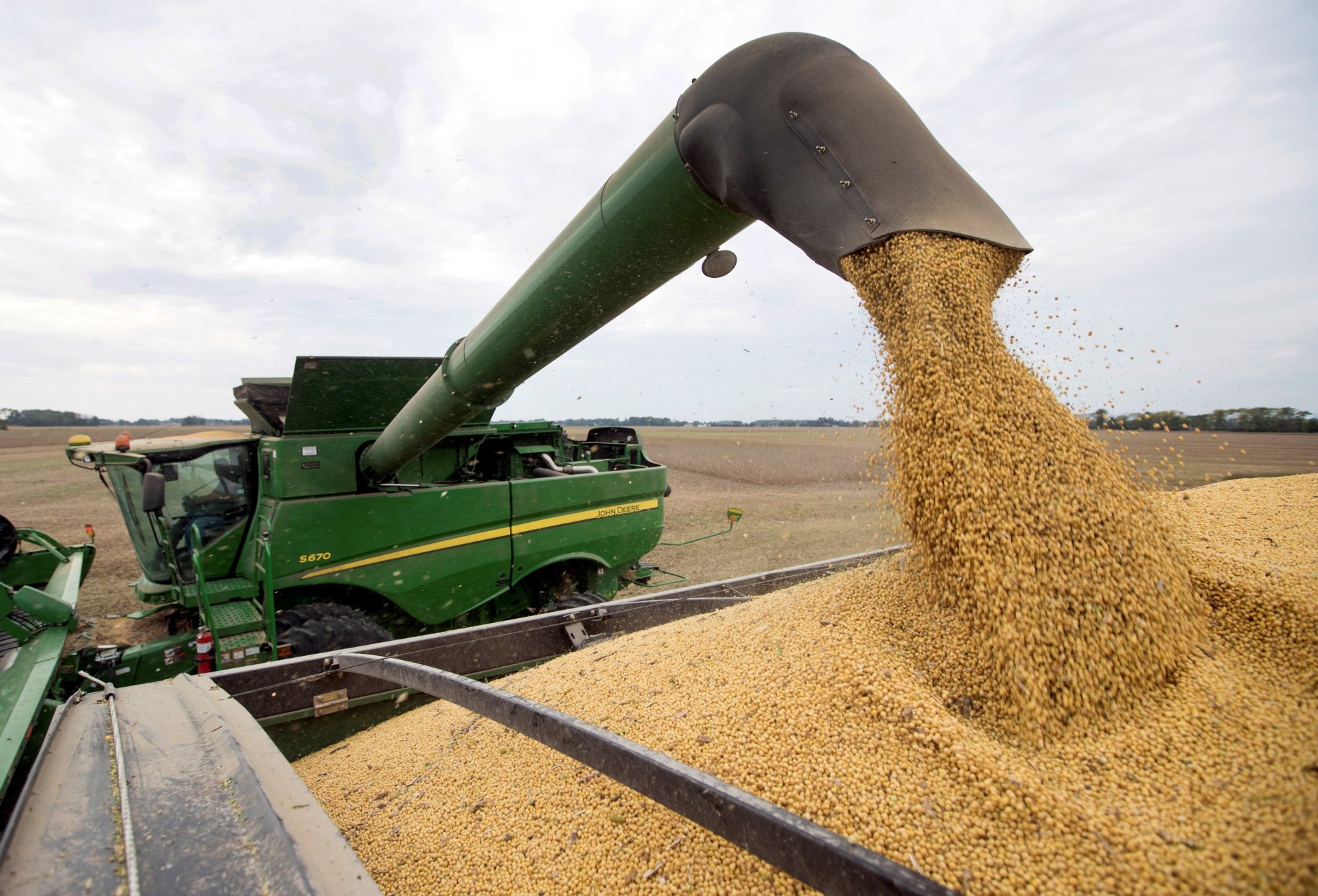 Agro: ¿Qué cantidad y calidad de puestos de trabajo genera?