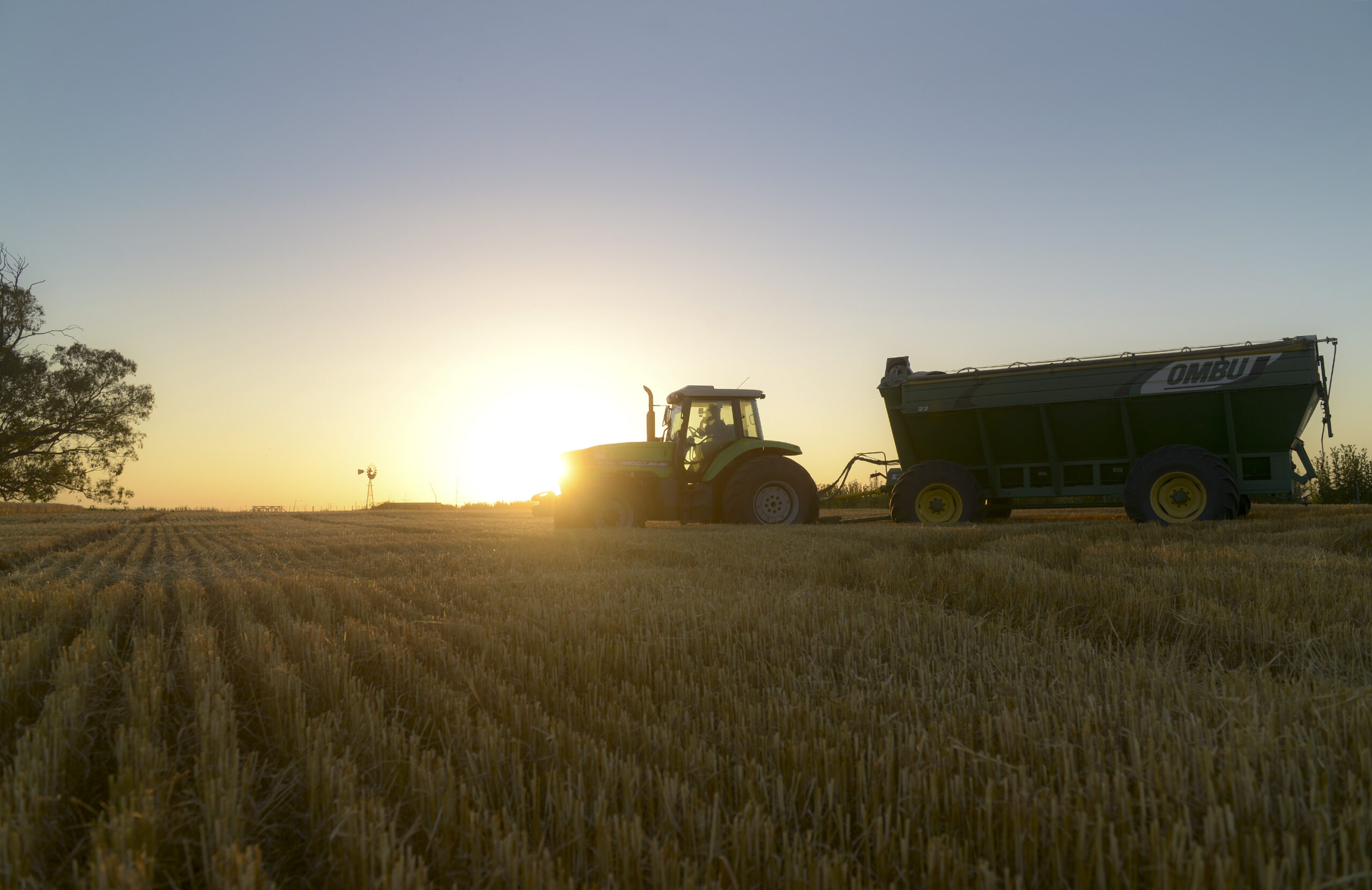 ¿Quién gana?: récord de renta agroexportadora