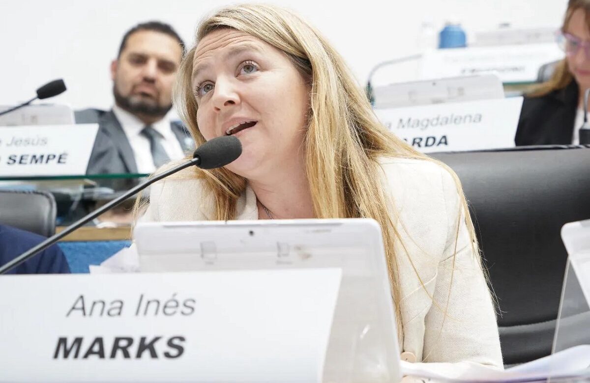 «Milei no tiene ni idea de lo que pasa en las provincias patagónicas»