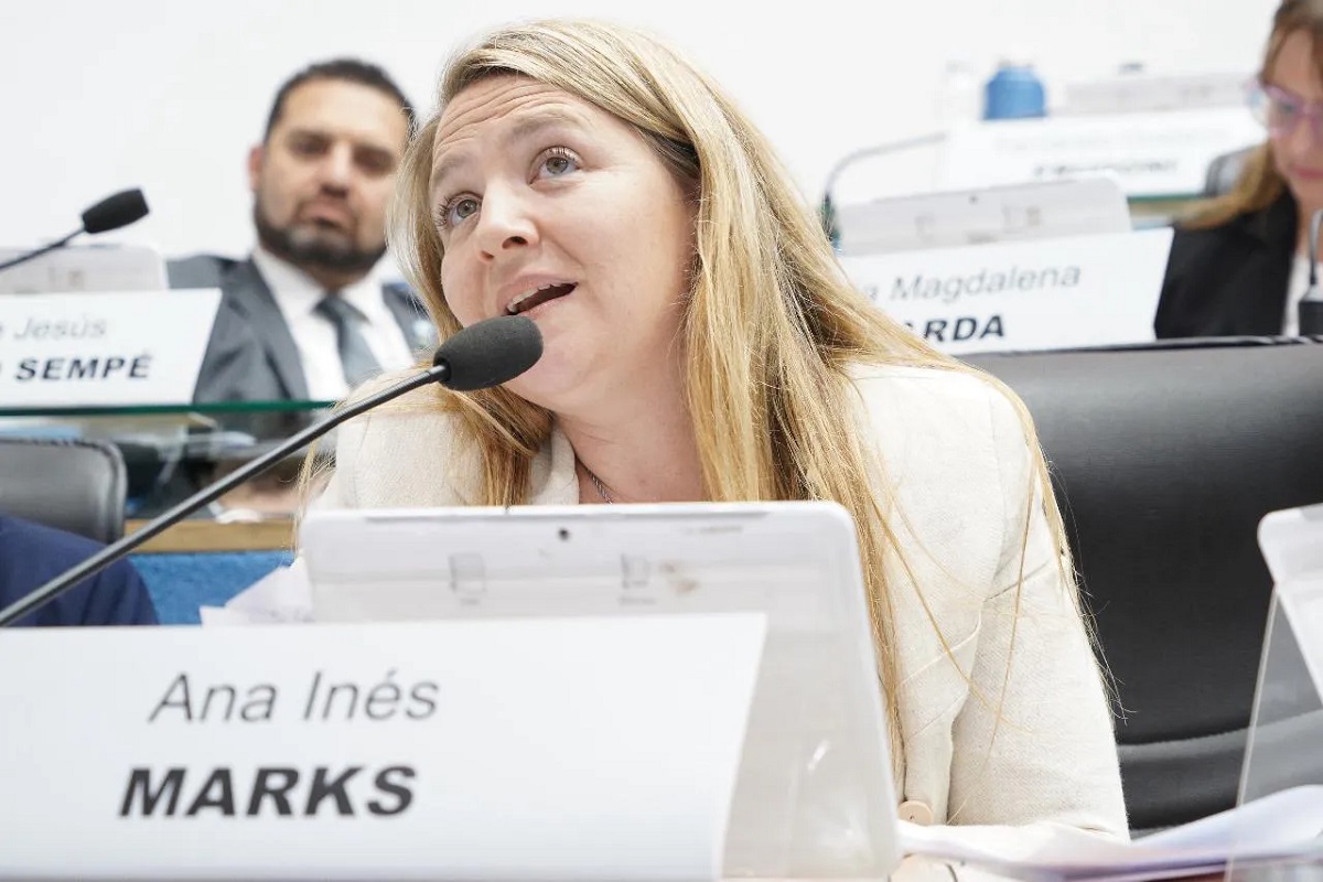 «Milei no tiene ni idea de lo que pasa en las provincias patagónicas»