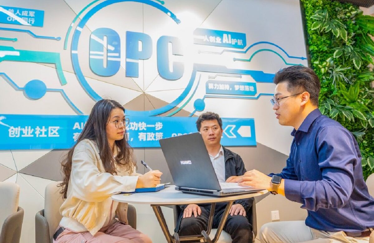 Nadie se salva solo: la mano visible del Estado en las OPC de China