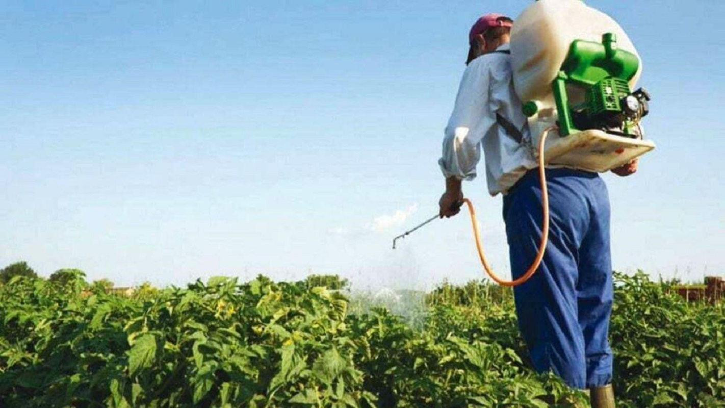 Se eliminó la prohibición contra el glifosato en Misiones
