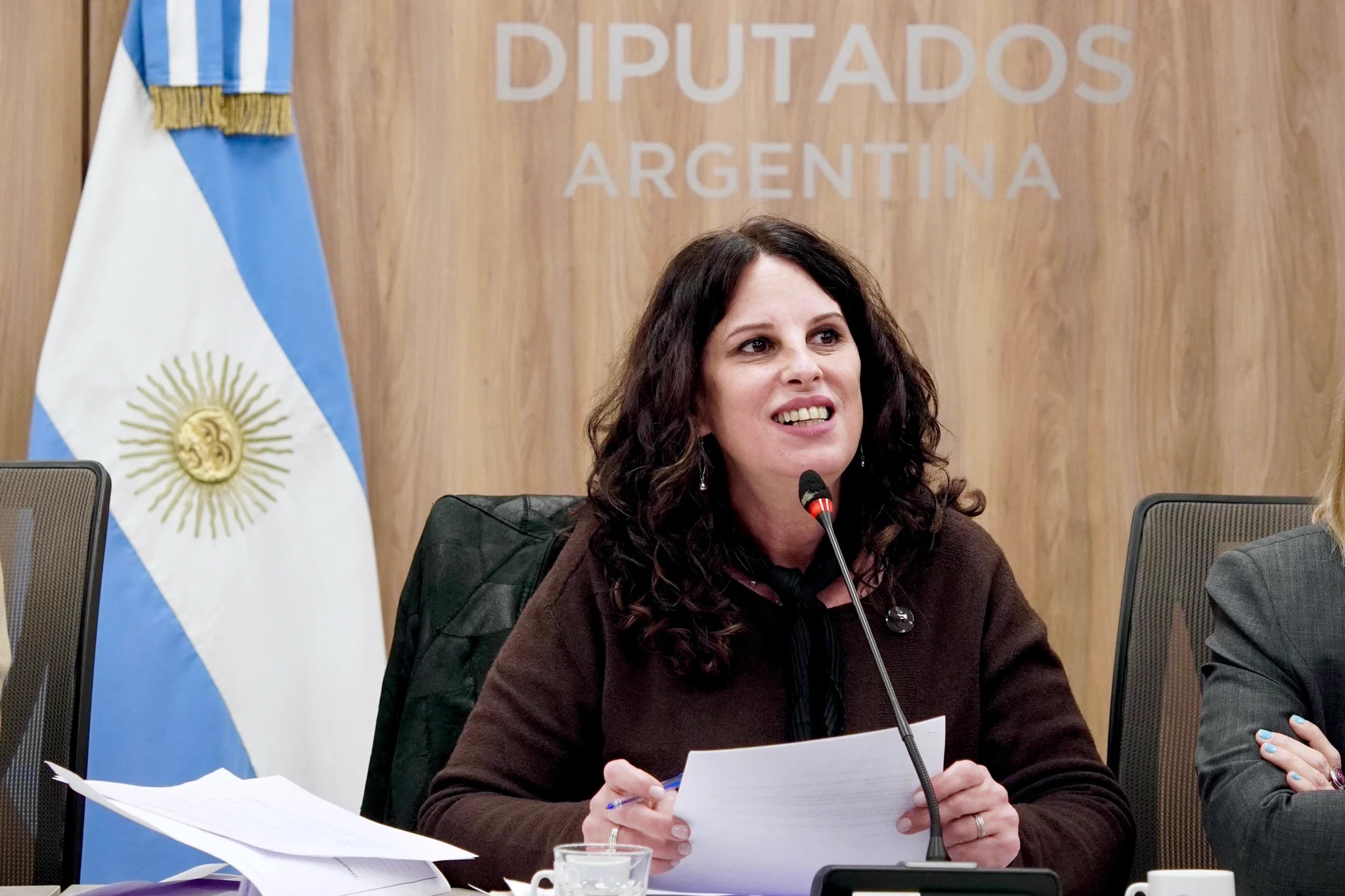«Milei muestra una alianza estratégica con EEUU e Israel absolutamente contradictoria con la causa Malvinas»