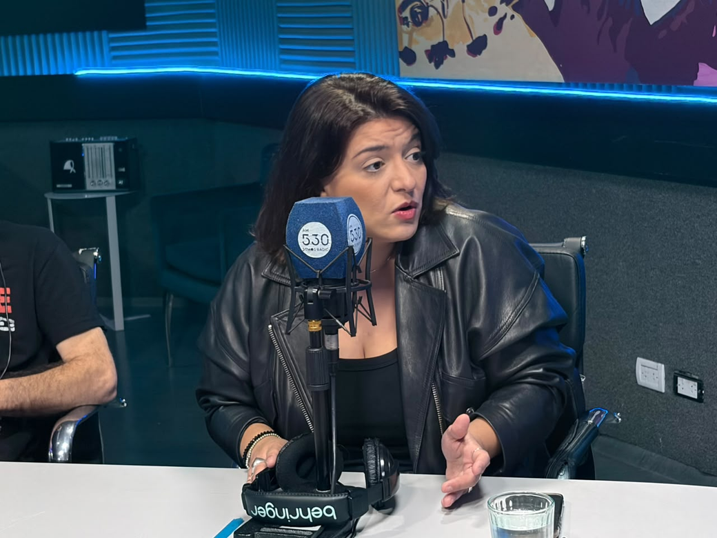 «El fallo por $Libra es un mamarracho jurídico»